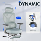 FLEXISPOT ErgoX Premium Ergonomic Office Chair with Footrest- Adjustable 3D Armrests, Dynamic Lumbar Support, Recline & Tilt Function, Mesh Seat, for Home & Office Use,Foam Blue