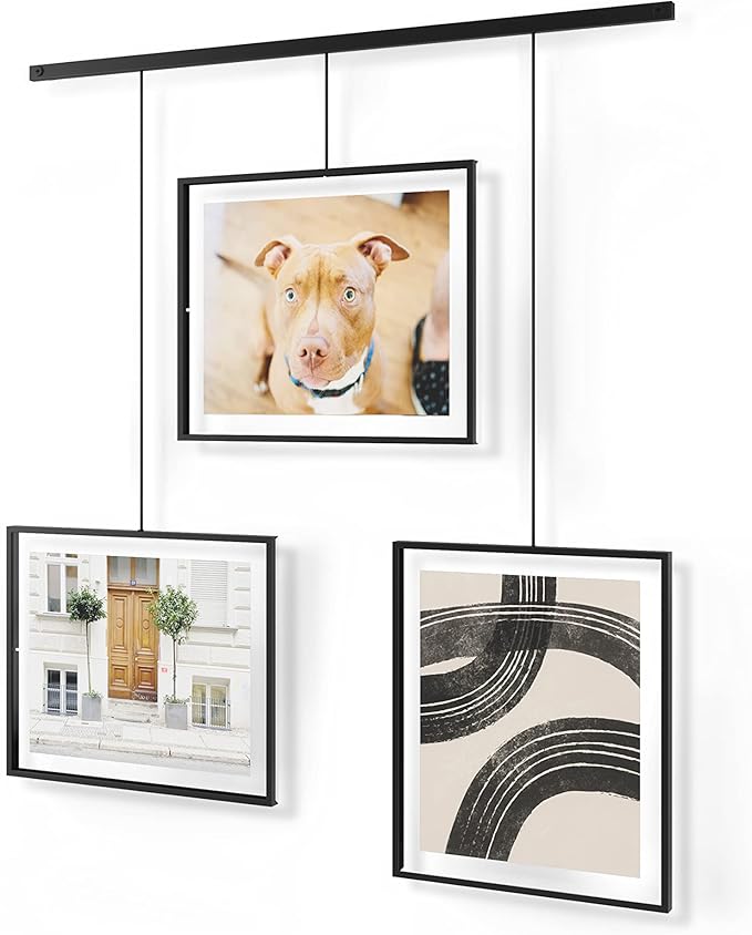 Umbra Exhibit Wall Frame with Metal Rod for Hanging-Rimless Design-Suitable for Living Room, Bathroom, Bedroom, Entryway and More, Black