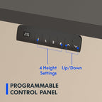 FLEXISPOT E3 Dual Motor Electric Standing Desk 48x24 Inch Whole-Piece Board Height Adjustable Electric Sit Stand (Black Frame + Black Desktop, 2 Packages)