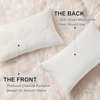 decorUhome Decorative Two Cream White Pumpkins Thanksgiving Throw Pillow Covers 12x20 Set of 2, Soft Chenille Jacquard Farmhouse Textured Pillow Covers for Couch Sofa Autumn Harvest Halloween Holiday
