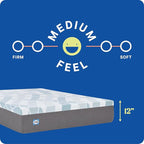 Sealy Dreamlife 12” Hybrid Mattress-in-a-Box, King, SealyComfort Gel Memory Foam, SealyResponsive Encased Coils, Surface-Guard Technology