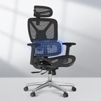 FLEXISPOT ErgoX Premium Ergonomic Office Chair Black - Adjustable 3D Armrests, Dynamic Lumbar Support, Recline & Tilt Function, Mesh Seat, for Home & Office Use