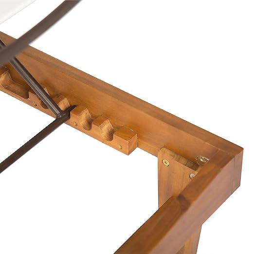 Christopher Knight Home Shiny Outdoor Wood Chaise Lounge (Set of 2), Teak Finish/White Mesh