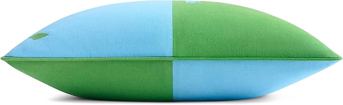 Kate Spade New York Pull Up A Chair Reversible Decorative Pillow, 20" x 20" Throw Pillow for Bed or Sofa, Cotton and Linen Cover, Blue and Green, 20 x 20