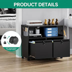Letaya Mobile 2 Drawer File Cabinet with Lock, Metal Lateral Printer Stand Filing Storage Cabinets with Shelves for Home Office-A4/F4/Letter (Black)