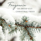 Thymes Frasier Fir Candle – Pine Needle Design – Holiday Scented Candle – Notes of Crisp Siberian Fir, Cedarwood & Sandalwood – Luxury Home Fragrance Gifts for Women & Men – Silver (Statement, 2 oz)