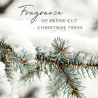 Thymes Frasier Fir Candle - Heritage Pine Needle Luminary Scented Candles - Elegant Pine Candle - Crisp Siberian Fir, Cedarwood & Sandalwood - Holiday Candles - Christmas Decor (Medium, 11.5 oz)