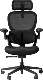 HINOMI Q2 Ergonomic Office Chair with Lumbar Support & Adjustable Headrest, Cushion Seat with Flip-Up Arms, Reclining Computer Seating with Footrest, Stylish Desk Model for Home (Black)