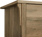 Bush Furniture Salinas 2 Drawer Lateral File Cabinet in Reclaimed Pine, Home Office Storage Solution, Organizer with Drawers for Workspace, Filing Unit