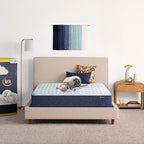 Serta Sleeptrue Firm 11" Twin Hybrid Mattress in a Box, Cooling, Breathable, and Pressure Relieving - 100 Night Trial, CertiPUR-US Certified and 10 Year Limited Warranty