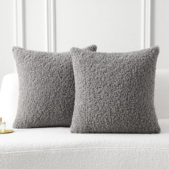 FUTEI Dark Grey Throw Pillow Covers 18x18 Inch Set of 2,Furry Faux Fur Teddy Boucle Textured Cushion Covers,Soft Fluffy Decorative Pillow Case,Home Decor for Couch Bed Living Room Office Car