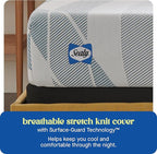 Sealy Dreamlife 10” Hybrid Mattress-in-a-Box, Twin, SealyComfort Gel Memory Foam, SealyResponsive Encased Coils, Surface-Guard Technology