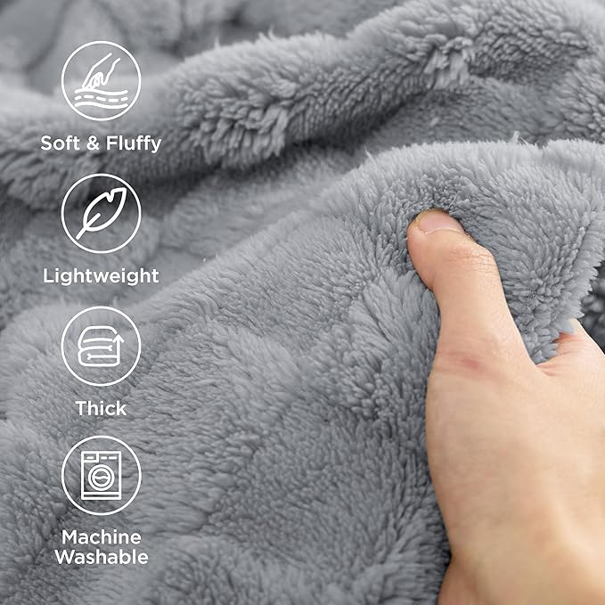 Bedsure GentleSoft Blankets Queen Size for Bed - Super Soft Cozy Blanket for Women Men Girls, Large Fuzzy Fleece Throw for Bedroom Decor, Silver Grey, 90x90 Inches