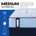 Sealy Posturepedic® Fayette 13" Medium Tight Top Innerspring Mattress - Full