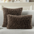 FUTEI Chocolate Decorative Throw Pillow Covers 26x26 Inch Set of 2,Soft Fluffy Faux Wool Fur Boucle Textured Euro Pillow Shams,Modern Home Decor for Couch Bed Living Room Office