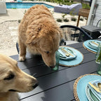 PURPLE LEAF Outdoor Dining Set for 14 All-Weather 16 Pieces Patio Aluminium Dining Table and Rope Weave Chairs Included Cushions for Backyard Deck Indoor Decor Patio Furniture Set Gray and Navy