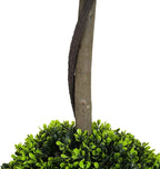 Christopher Knight Home Alene Set of 2 34''H Pre-Potted Artificial Tree Indoor, Artificial Topiary Boxwood Tree Double Ball with Pot, Faux Tree with Natural Wood Trunk with Black Plastic Pot, Green