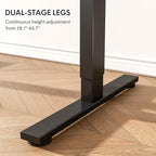 FLEXISPOT One-Piece Electric Standing Desk, 48 x 30 Inches Adjustable Desk with Seamless Desktop, Memory Controller Height Adjustment (Black Frame + Rustic Brown Desktop, 2 Packages)