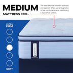 Sealy Posturepedic® Fayette 14" Medium Pillowtop Innerspring Mattress - Queen
