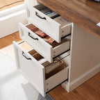 60" Farmhouse Executive Desk with Charging Station,Home Office Desk with 2 Drawers &1 File Cabinet,Fluted Computer Desk for Office and Home (White)