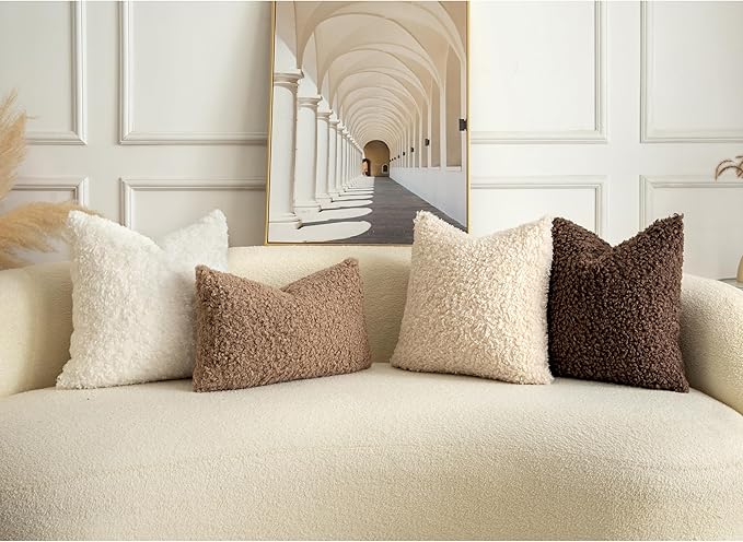 Pack of 2 Curly Teddy Wool Faux Fur Throw Pillow Covers Fuzzy Accent Soft Sherpa Pillowcases Sheepskin Fleece Decorative Cushion Case for Sofa Couch Living Room 24x24 Inch Chocolate
