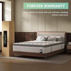 Twin Mattress 10 Inch, 5-Zone Deep Sleep Firm Mattress with Extra Lumbar & Shoulder Support, Hotel Collection Hybrid Single Mattresses Pain Relief, Fiberglass Free & No Odor -365 Night Trial