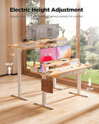 FiCiHi Adjustable Height Standing Desk with 4 Drawers,55 x 24 inches Electric Sit Stand Home Office Desk with Two Tiers, 3 Memory Presets, Monitor Stand Riser