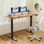 Homall Electric Standing Desk with Drawer, Height Adjustable Sit Stand Up Desk with 3 Memory Presets for Home Office Computer Desk with Two-Piece Desktop