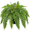 Hollyone Artificial Fern Plants in Pot 25.5" Artificial Boston Fern 31 Leaves for Outdoors & Indoor Faux Potted Plant Fake Ferns Bush Plant for Patio Garden Farmhouse Porch Home Decor Green