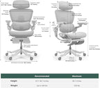 HINOMI H2 Pro Premium Ergonomic Office Chair - Comfy Home Office Desk Computer Chair with Adjustable Back Support, Swivel Wheels, Flip-up Arms, Comfortable Mesh Seat for Desk Work (Black)