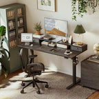 Agilestic 53x 24 Inches Height Adjustable Electric Standing Desk with 2 Drawers, Stand Up Electric Desk Adjustable Height, Sit Stand Computer Gaming Table with Splice Board, Black