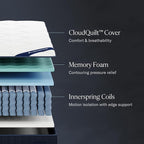 DreamCloud Classic 12" Queen Mattress - Luxury Hybrid Gel Memory Foam - 365 Night Trial - Fiberglass Free - Forever Warranty - Mattress in a Box - CertiPUR-US Certified