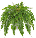 Hollyone Artificial Fern Plants in White Pot 25.5" Medium Artificial Boston Fern 31 Leaves for Outdoors & Indoor Faux Potted Plants Fake Ferns Bush Plant Patio Garden Farmhouse Porch Home Decor Green