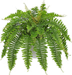 Hollyone Artificial Fern Plants in White Pot 25.5" Medium Artificial Boston Fern 31 Leaves for Outdoors & Indoor Faux Potted Plants Fake Ferns Bush Plant Patio Garden Farmhouse Porch Home Decor Green
