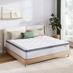 Novilla Queen Size Mattress, 10 Inch Queen Hybrid Mattress in a Box, Pocket Innerspring Mattresses for Motion Isolation, Pressure Relief, Sopportive & Firm Feel