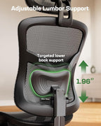 Marsail Ergonomic Mesh Office Chair,Ergonomic Dsk Chair with 2D Headrest,Adjustable Lumbar Support & Up and Down Armrest