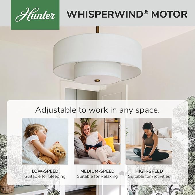 Hunter - Brookside Indoor Fandelier with Light, Remote, 30-inch, Casual-Style, 3-Speed WhisperWind Motor, 52974, Ceiling Fans for Living Rooms, bedrooms, Home Offices, Kitchens (Luxe Gold)