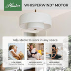 Hunter - Brookside Indoor Fandelier with Light, Remote, 30-inch, Casual-Style, 3-Speed WhisperWind Motor, 52974, Ceiling Fans for Living Rooms, bedrooms, Home Offices, Kitchens (Luxe Gold)