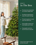 Balsam Hill European Silver Fir - Elegant Artificial Christmas Tree with True Needle Foliage Available Unlit or with LED Clear Lights, Unlit, 6'