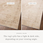 Loloi Chris Loves Julia Palma Collection PLM-06 Natural/Smoke 6'-3" x 9'-6" Fringe Area Rug Vintage Style Boho Living Room Bedroom Carpet