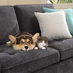 74" Loveseat Couch for Living Room,Modern Chenille Upholstered Sofa with Adjustable Storage Armrest Cup Holders,USB & Type-C Ports,Solid Wood 2-Seater Loveseat Sofa for Apartment(Deep Gray)