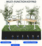 FLEXISPOT EN1 Bamboo Standing Desk, 60 x 30 Inches Whole-Piece Electric Adjustable Height Sit Stand Desk - Silver Frame + Bamboo Curved Desktop (2 Packages)
