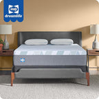 Sealy Dreamlife 12” Foam Mattress-in-a-Box, Queen, SealyComfort Gel Memory Foam, SealySupport Transition Foam, Surface-Guard Technology