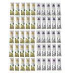 Asheva 8" x 9" Individually Wrapped Oshibori Disposable Towels - Luxurious Moist Cotton Hot/Cold Refreshment Towel - Lavender, Lemon, or Tea Tree Scents - Perfect for Spa, Travel, Dining & Events