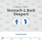 Signature Design by Ashley King Size Comfort Plus 10 Inch Hybrid Mattress with Lumbar Support Gel Memory Foam, Fiberglass Free, Mattress In A Box