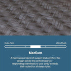 Beautyrest Prime Dream Medium 12.5" Mattress - Twin - Durable Pocketed Coil, Support, Pressure Relief, Cooling, Motion Separation; 100 Night Sleep Trial and 10 Year Warranty