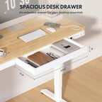 FLEXISPOT Comhar Electric Standing Desk with Drawer Desktop & Adjustable Frame w/USB Charge Ports (Bamboo-Look Laminate/White, Wood)