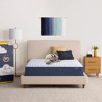 Serta Sleeptrue Firm 12" Twin Memory Foam Mattress in a Box, Cooling, Breathable, and Pressure Relieving - 100 Night Trial, CertiPUR-US Certified and 10 Year Limited Warranty