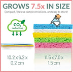 bioGo 30 Pack Compostable Pop-Up Sponges - Expanding, Non-Scratch, Plant-Based Dish - Bulk Color - Pop Up Sponge - Kitchen