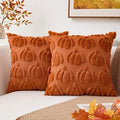 Kevin Textile Fall Pillow Covers 16x16 Inch Set of 2 Soft Pumpkins Decorative Square Pillowcases Plush Autumn Faux Fur Cushions Harvest Gift for Couch Sofa Chair Bedroom Home Decor, Brown